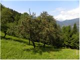 Tirosek (Nova Štifta) - Planina Travnik